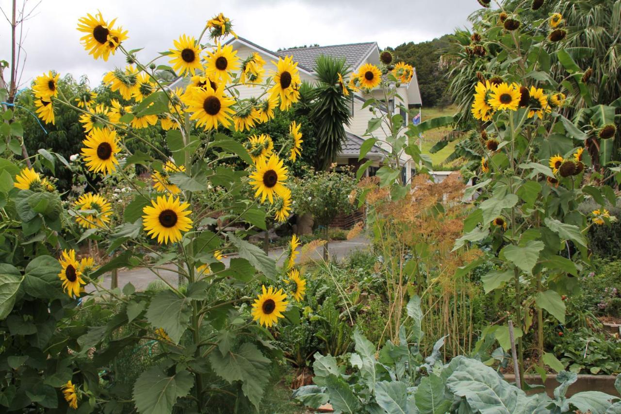 U Beauty - B & B Whangarei Eksteriør bilde